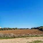 Vue * 鲁瓦扬