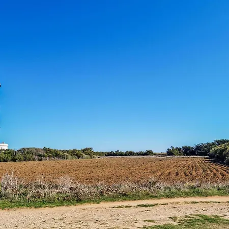 Vue * Royan